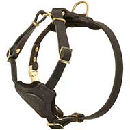 Training and Walking Puppy Leather Dog Harness