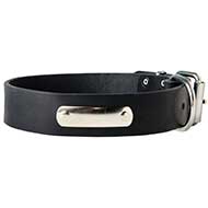 Identification Leather Dog Collar for Walking and Training