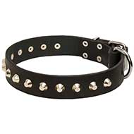 Leather Dog Collar with Nickel Pyramids for Walking