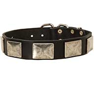 Leather Dog Collar with Massive Nickel Plates Vintage Looking