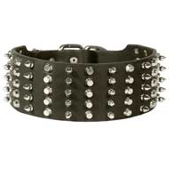 Extra Wide Decorated Leather Dog Collar