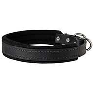 Training & Walking Leather Canine Collar Padded with Natural Felt