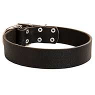 Practical Leather Canine Collar for Daily Activities