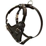 Protection Leather Dog Harness with Wide Chest Plate for Attack Work
