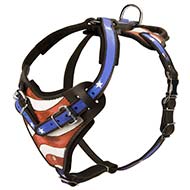 Training Leather Handpainted Dog Harness