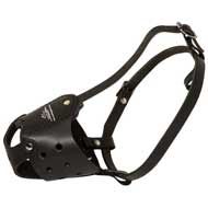 Anti-Barking Leather Dog Muzzle
