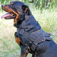 Lightweight Adjustable Nylon Rottweiler Harness with Handle for Pulling, Walking and Training