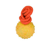 Hollow Training Toy for Mastiff 2 1/3 inch (6 cm)