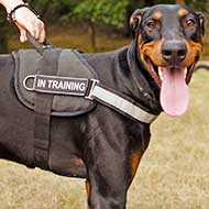 Water Resistant Nylon Doberman Harness with Reflective Strap