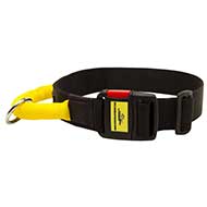 Nylon Dog Collar with Strong Handle and Quick Release Buckle