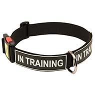 Strong Nylon Dog Collar with Identification Patches