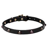 "Age of Style" Natural Leather Dog Collar with Cones Adornment