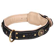 Royal Leather Dog Collar with Nappa Padding for Fashionable Walking