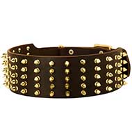 Extra Wide Leather Dog Collar Decorated with Spikes
