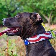 Leather Pitbulll Collar with USA Flag Painting for Walking and Training