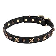 "Four Cornered Stars" Leather Dog Collar with Bronze-plated Adornment