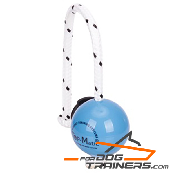 Magnetic dog ball for training