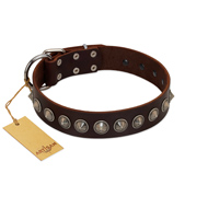 "Gothic Style" FDT Artisan Fancy Brown Leather dog Collar with Silver-Like Decorations
