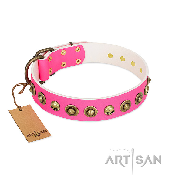 Designer full grain natural leather dog collar with rust-proof embellishments