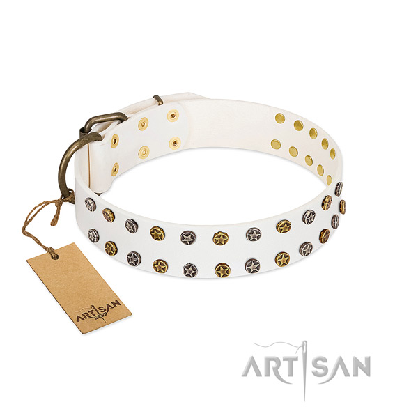 Trendy genuine leather dog collar with reliable studs