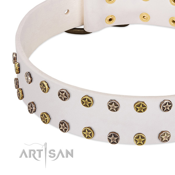 Remarkable adornments on full grain leather collar for your four-legged friend