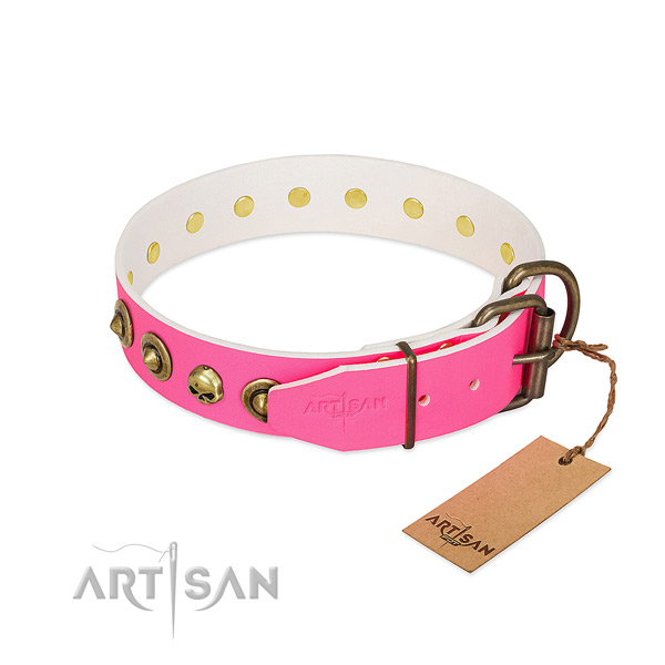 Natural leather collar with fashionable studs for your canine