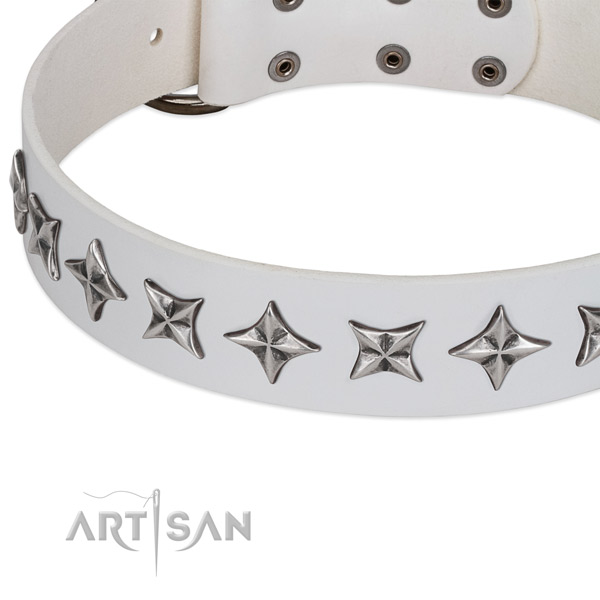 Everyday use adorned dog collar of reliable full grain leather