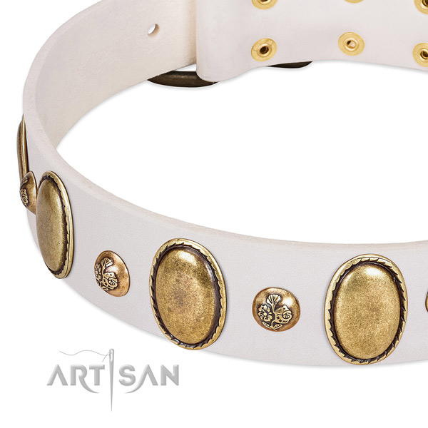 Natural leather dog collar with stunning studs