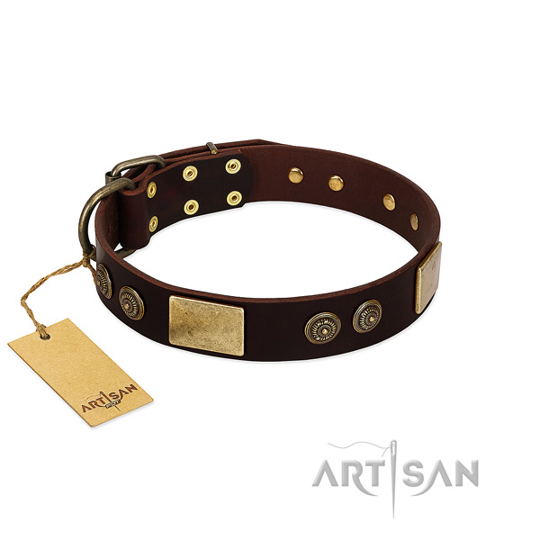 Reliable embellishments on genuine leather dog collar for your pet