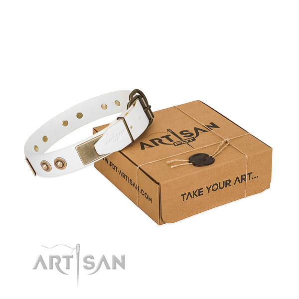 Durable decorations on full grain genuine leather dog collar for your pet
