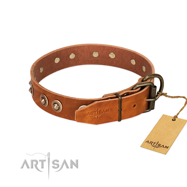 Rust-proof fittings on full grain leather dog collar for your canine