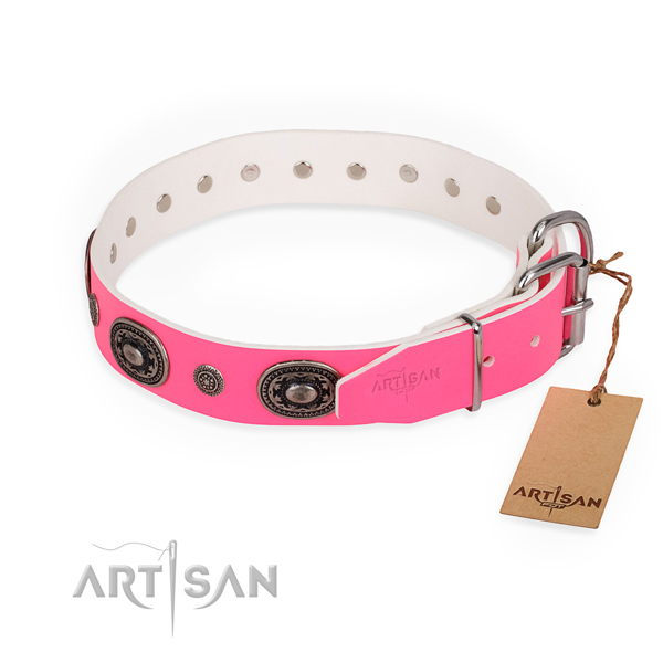 Basic training trendy dog collar with strong fittings