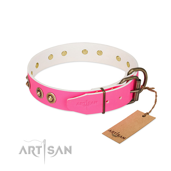 Full grain natural leather dog collar with reliable buckle and studs
