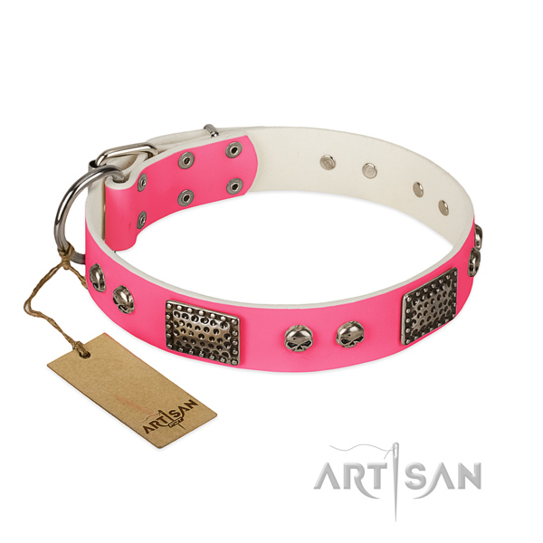 Easy to adjust natural leather dog collar for everyday walking your pet