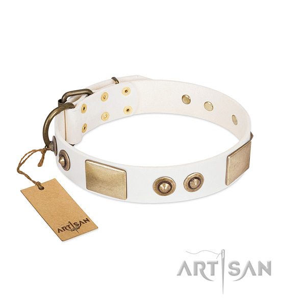 Reliable hardware on full grain leather dog collar for your canine