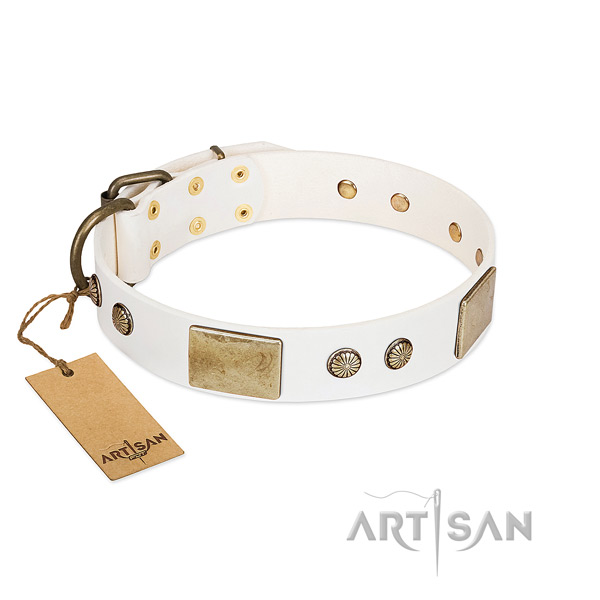 Adjustable full grain natural leather dog collar for basic training your pet