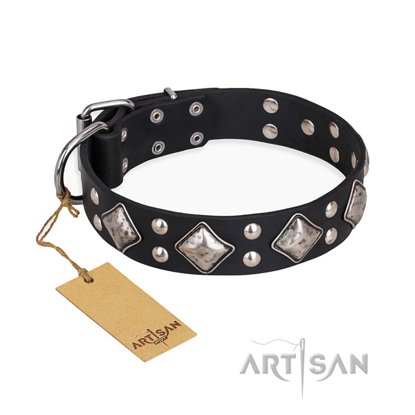 Handy use impressive dog collar with rust-proof traditional buckle