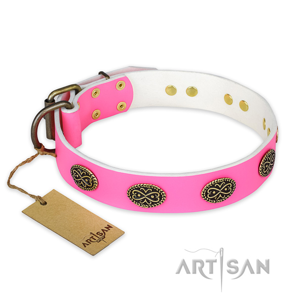 Extraordinary full grain natural leather dog collar for stylish walking