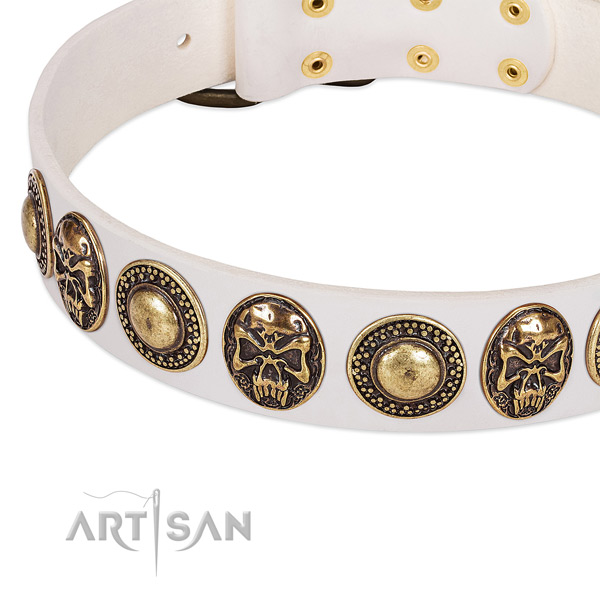Rust resistant studs on full grain leather dog collar for your pet