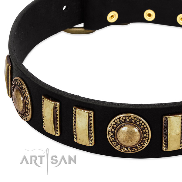 Quality natural leather dog collar with rust-proof D-ring