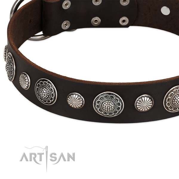 Full grain leather collar with strong hardware for your impressive pet