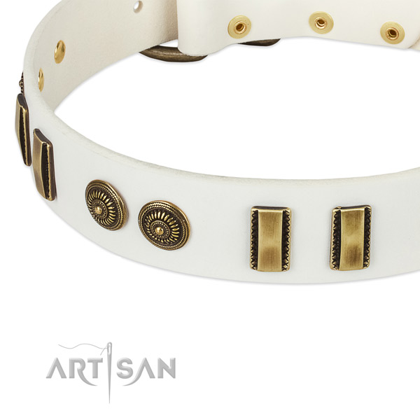 Corrosion proof embellishments on full grain genuine leather dog collar for your canine