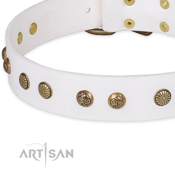 Full grain leather collar with corrosion resistant D-ring for your beautiful canine
