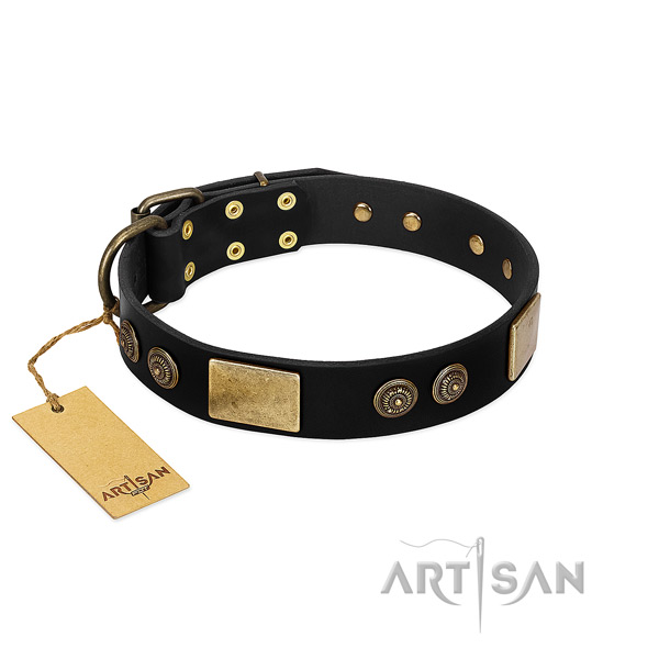 Corrosion proof embellishments on full grain natural leather dog collar for your dog