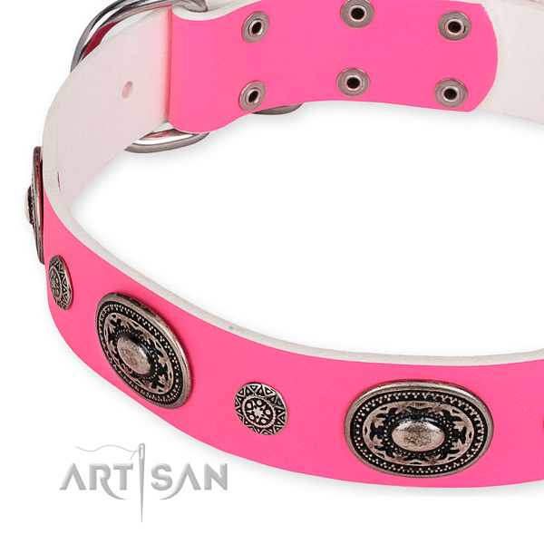 Full grain genuine leather dog collar with unusual corrosion proof studs