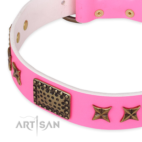 Full grain natural leather collar with corrosion resistant fittings for your handsome doggie