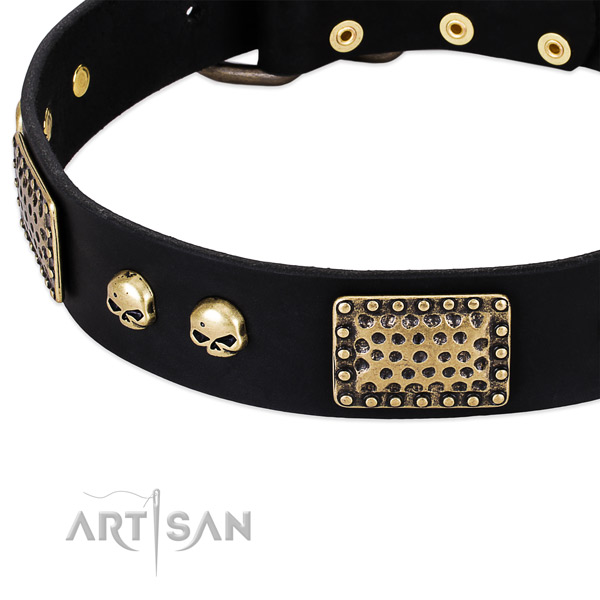 Corrosion proof fittings on full grain genuine leather dog collar for your canine