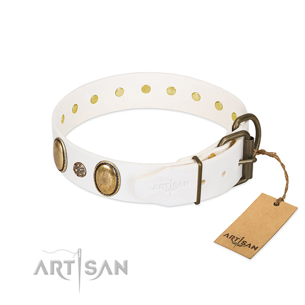 Stylish walking soft leather dog collar with embellishments