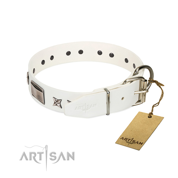 Top quality collar of leather for your impressive canine