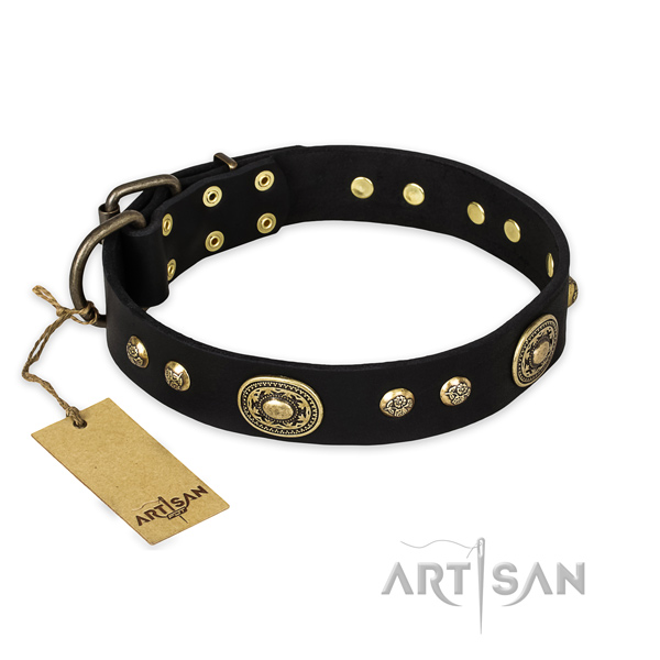 Stunning genuine leather dog collar with durable hardware